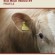 34177_ALL-MEDIAThe-Red-Meat-Industry-Profile-2012-JPEG-FORMAT