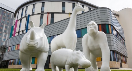 the-big-stampede-animals-at-royal-hospital-for-children-in-glasgow