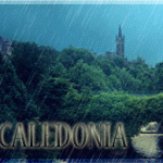 media-directory-entry-caledonia
