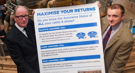 Quality Meat Scotland poster
