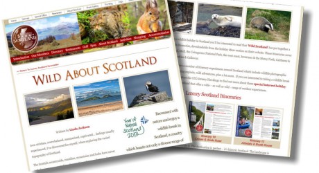 wildlife-scotland